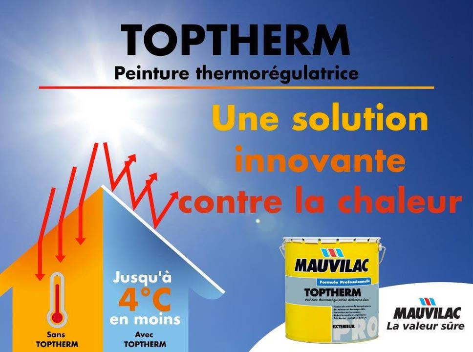 TRAVAUX TOITURE : PROTOIT974 dans l'île de la réunion 974 : étanchéité, nettoyage, réparation chéneaux, peinture toit, traitement rouille, pose de gouttières et de couverture